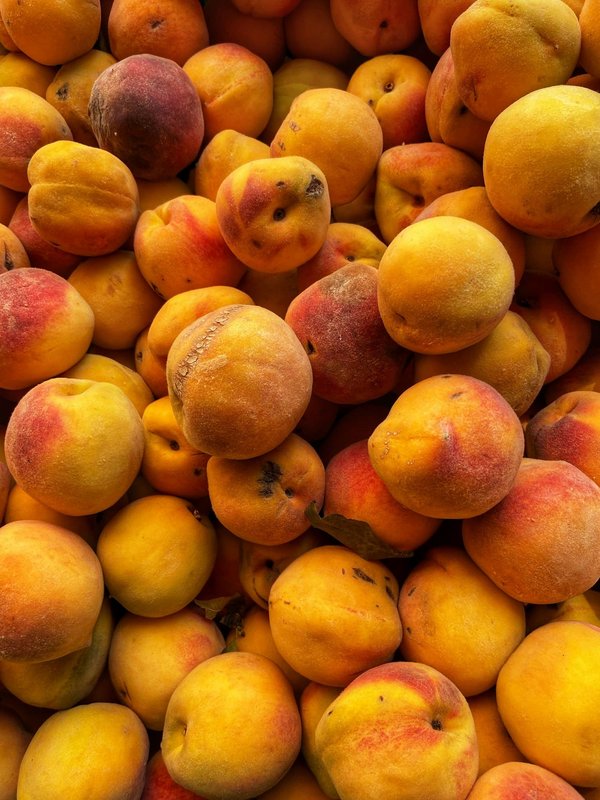 Où découvrir les traditions de la pêche artisanale au Portugal ?